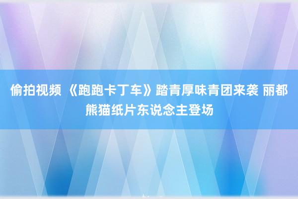 偷拍视频 《跑跑卡丁车》踏青厚味青团来袭 丽都熊猫纸片东说念主登场