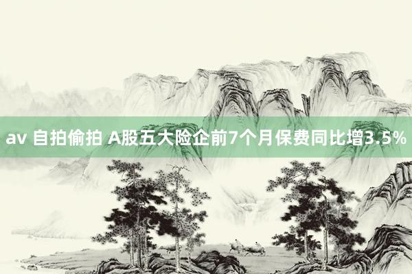 av 自拍偷拍 A股五大险企前7个月保费同比增3.5%