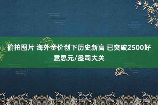 偷拍图片 海外金价创下历史新高 已突破2500好意思元/盎司大关