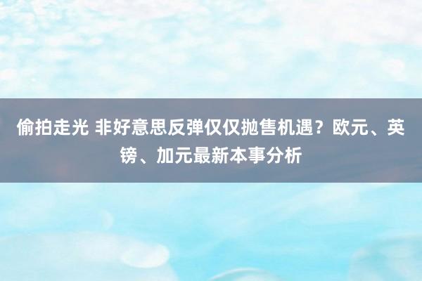 偷拍走光 非好意思反弹仅仅抛售机遇？欧元、英镑、加元最新本事分析