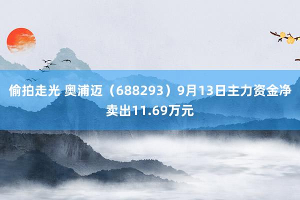 偷拍走光 奥浦迈（688293）9月13日主力资金净卖出11.69万元