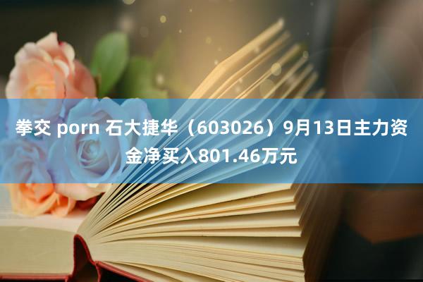 拳交 porn 石大捷华（603026）9月13日主力资金净买入801.46万元