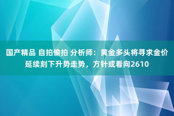 国产精品 自拍偷拍 分析师：黄金多头将寻求金价延续刻下升势走势，方针或看向2610