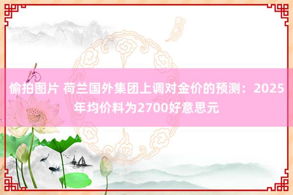 偷拍图片 荷兰国外集团上调对金价的预测：2025年均价料为2700好意思元