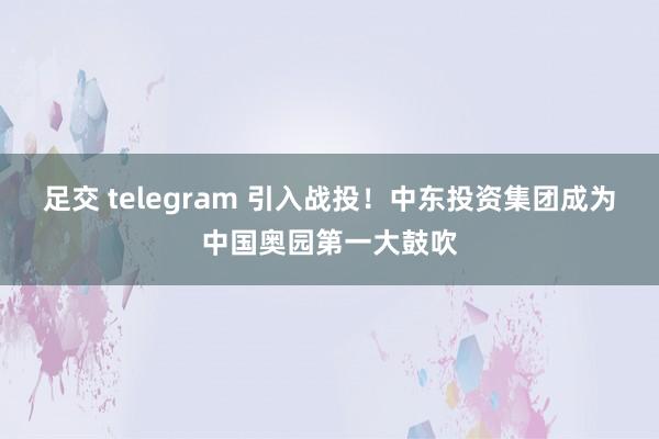 足交 telegram 引入战投！中东投资集团成为中国奥园第一大鼓吹