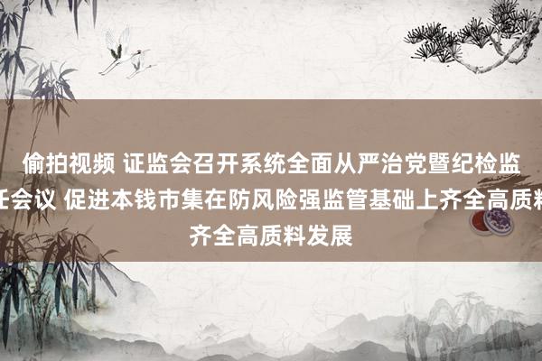 偷拍视频 证监会召开系统全面从严治党暨纪检监察责任会议 促进本钱市集在防风险强监管基础上齐全高质料发展