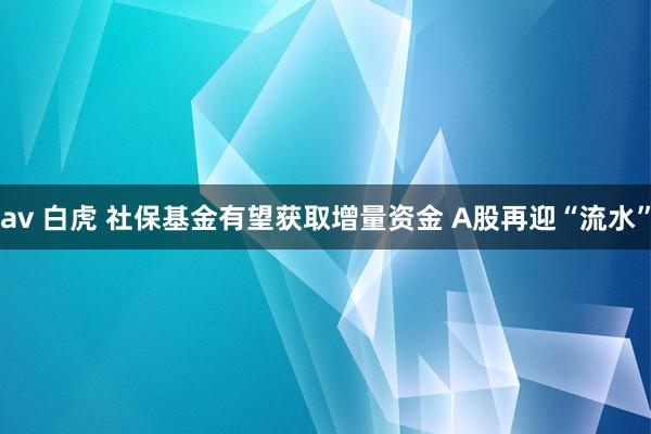 av 白虎 社保基金有望获取增量资金 A股再迎“流水”