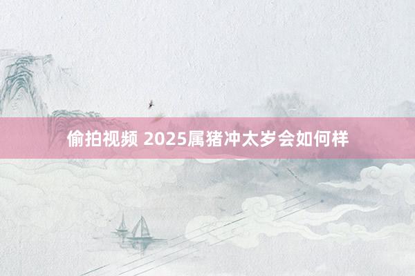 偷拍视频 2025属猪冲太岁会如何样