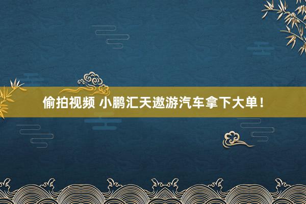 偷拍视频 小鹏汇天遨游汽车拿下大单！