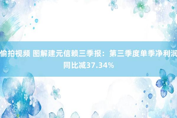 偷拍视频 图解建元信赖三季报：第三季度单季净利润同比减37.34%