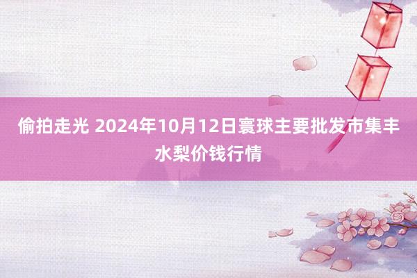 偷拍走光 2024年10月12日寰球主要批发市集丰水梨价钱行情