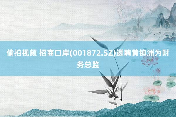 偷拍视频 招商口岸(001872.SZ)遴聘黄镇洲为财务总监