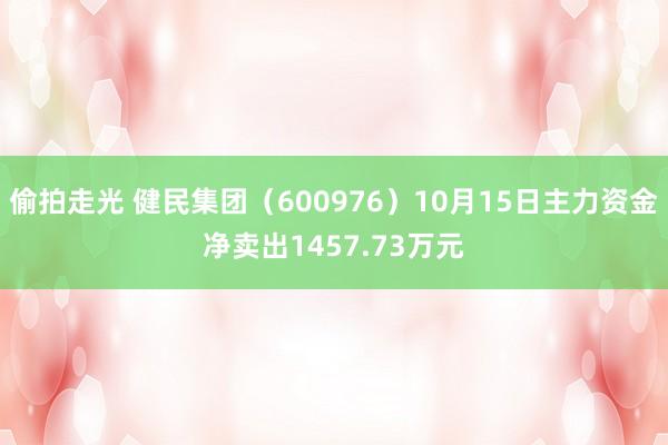 偷拍走光 健民集团（600976）10月15日主力资金净卖出1457.73万元