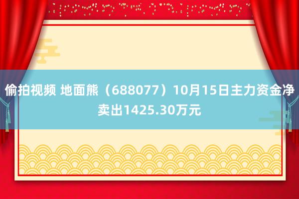 偷拍视频 地面熊（688077）10月15日主力资金净卖出1425.30万元