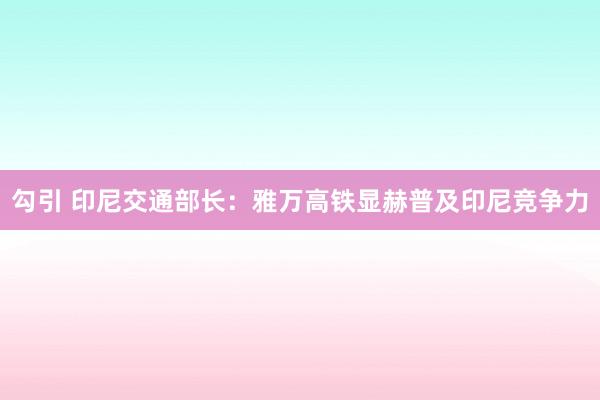 勾引 印尼交通部长：雅万高铁显赫普及印尼竞争力