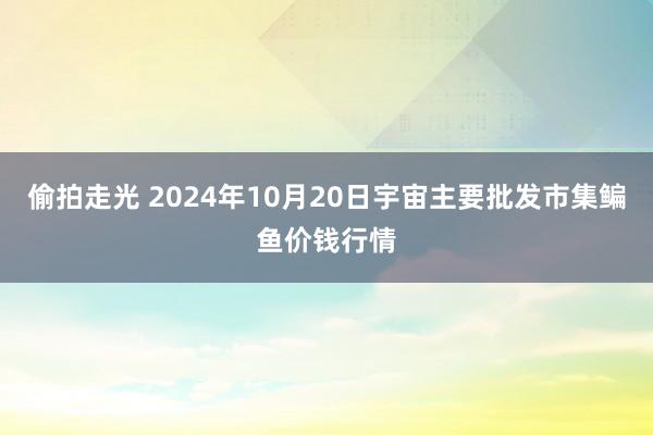 偷拍走光 2024年10月20日宇宙主要批发市集鳊鱼价钱行情