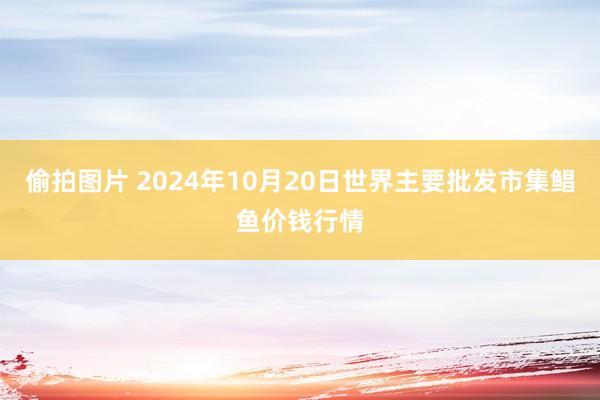 偷拍图片 2024年10月20日世界主要批发市集鲳鱼价钱行情