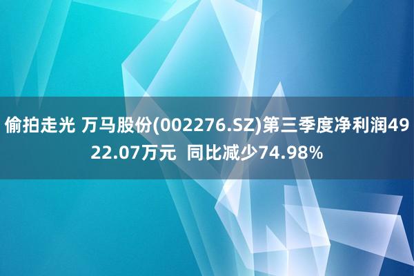 偷拍走光 万马股份(002276.SZ)第三季度净利润4922.07万元  同比减少74.98%