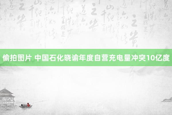 偷拍图片 中国石化晓谕年度自营充电量冲突10亿度