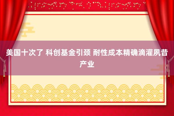 美国十次了 科创基金引颈 耐性成本精确滴灌夙昔产业