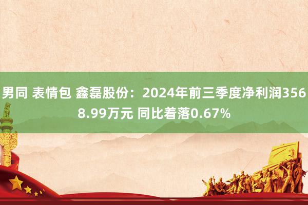 男同 表情包 鑫磊股份：2024年前三季度净利润3568.99万元 同比着落0.67%