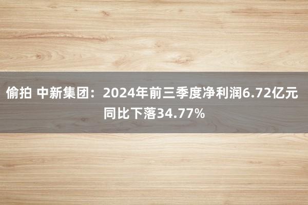 偷拍 中新集团：2024年前三季度净利润6.72亿元 同比下落34.77%