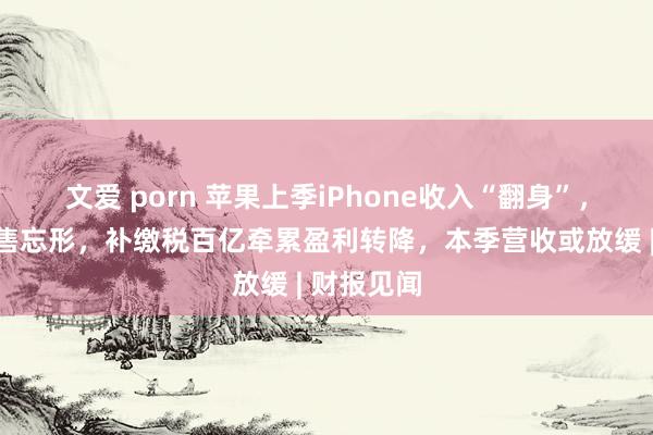 文爱 porn 苹果上季iPhone收入“翻身”，但在华销售忘形，补缴税百亿牵累盈利转降，本季营收或放缓 | 财报见闻