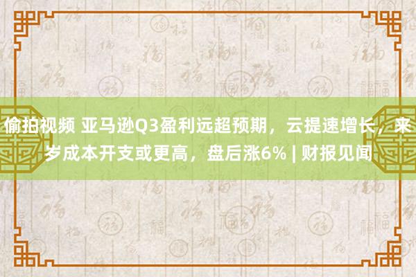 偷拍视频 亚马逊Q3盈利远超预期，云提速增长，来岁成本开支或更高，盘后涨6% | 财报见闻