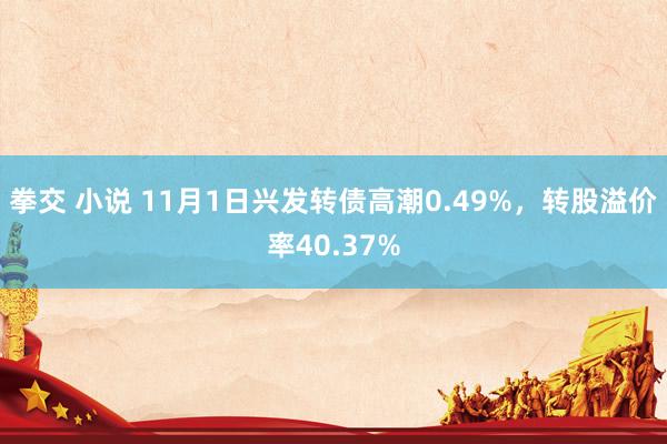 拳交 小说 11月1日兴发转债高潮0.49%，转股溢价率40.37%