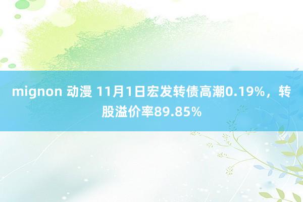 mignon 动漫 11月1日宏发转债高潮0.19%，转股溢价率89.85%