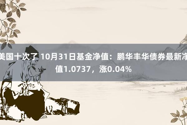 美国十次了 10月31日基金净值：鹏华丰华债券最新净值1.0737，涨0.04%