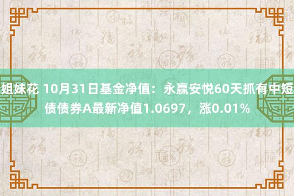 姐妹花 10月31日基金净值：永赢安悦60天抓有中短债债券A最新净值1.0697，涨0.01%