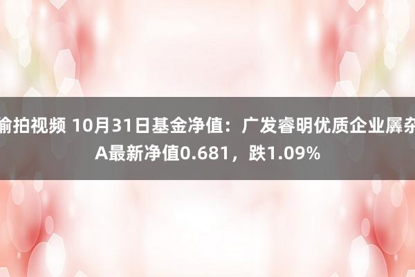 偷拍视频 10月31日基金净值：广发睿明优质企业羼杂A最新净值0.681，跌1.09%