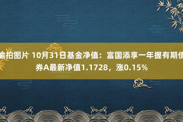 偷拍图片 10月31日基金净值：富国添享一年握有期债券A最新净值1.1728，涨0.15%