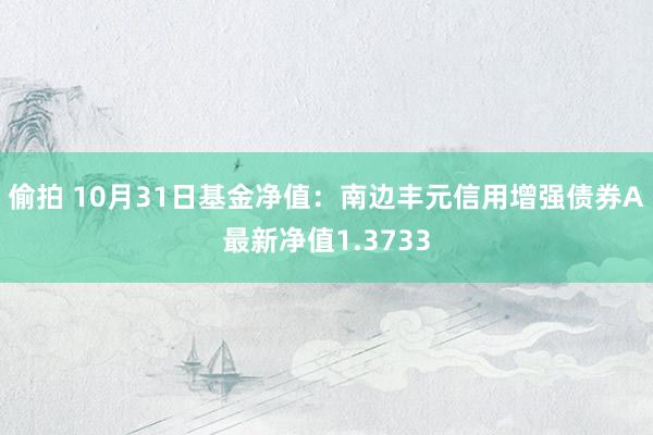 偷拍 10月31日基金净值：南边丰元信用增强债券A最新净值1.3733