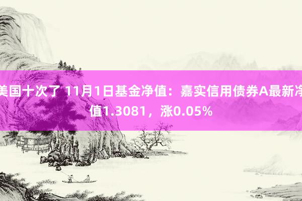 美国十次了 11月1日基金净值：嘉实信用债券A最新净值1.3081，涨0.05%