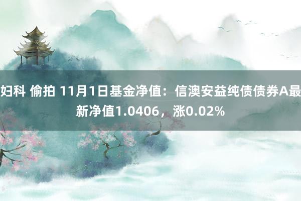 妇科 偷拍 11月1日基金净值：信澳安益纯债债券A最新净值1.0406，涨0.02%