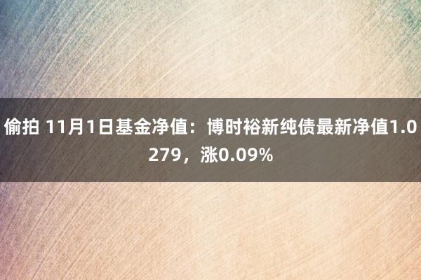 偷拍 11月1日基金净值：博时裕新纯债最新净值1.0279，涨0.09%