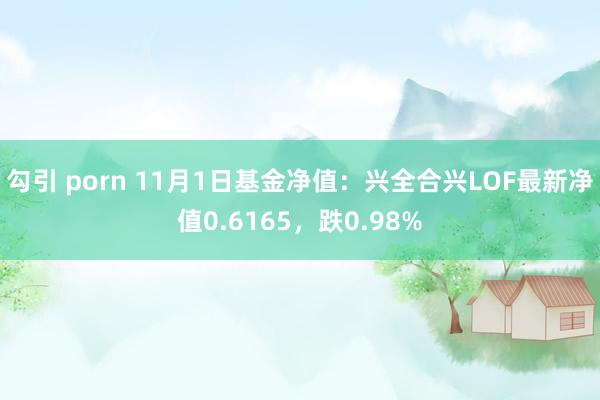 勾引 porn 11月1日基金净值：兴全合兴LOF最新净值0.6165，跌0.98%