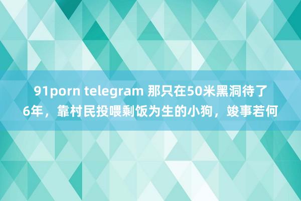 91porn telegram 那只在50米黑洞待了6年，靠村民投喂剩饭为生的小狗，竣事若何