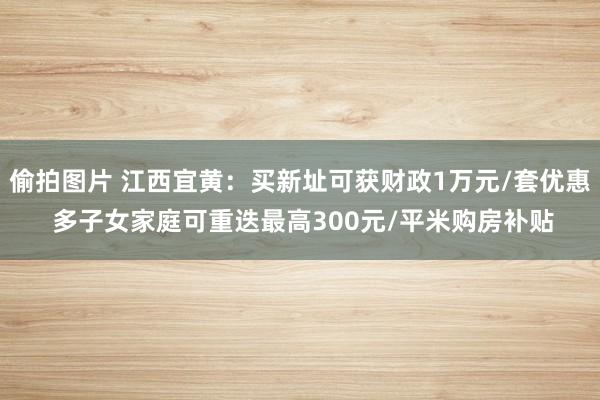 偷拍图片 江西宜黄：买新址可获财政1万元/套优惠 多子女家庭可重迭最高300元/平米购房补贴