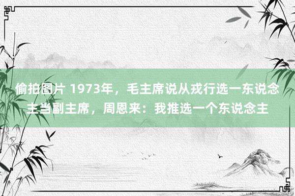 偷拍图片 1973年，毛主席说从戎行选一东说念主当副主席，周恩来：我推选一个东说念主