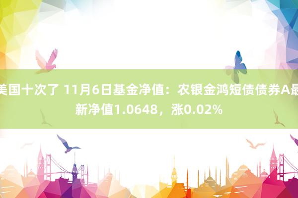 美国十次了 11月6日基金净值：农银金鸿短债债券A最新净值1.0648，涨0.02%