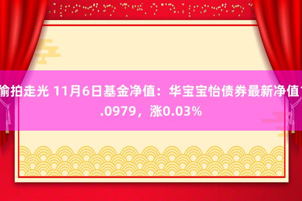 偷拍走光 11月6日基金净值：华宝宝怡债券最新净值1.0979，涨0.03%