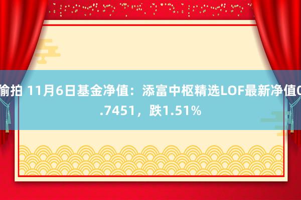 偷拍 11月6日基金净值：添富中枢精选LOF最新净值0.7451，跌1.51%