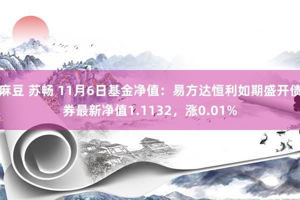 麻豆 苏畅 11月6日基金净值：易方达恒利如期盛开债券最新净值1.1132，涨0.01%