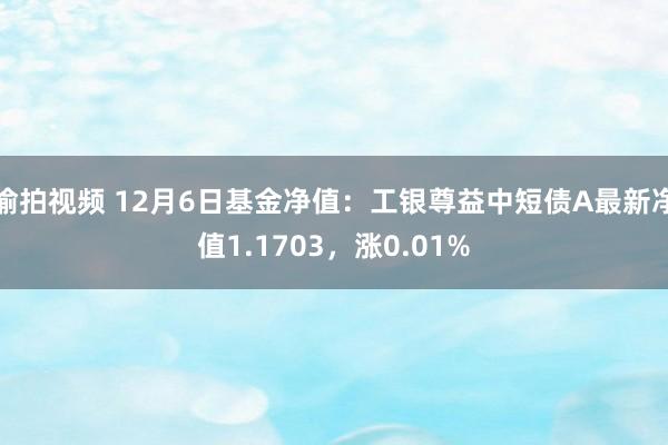 偷拍视频 12月6日基金净值：工银尊益中短债A最新净值1.1703，涨0.01%