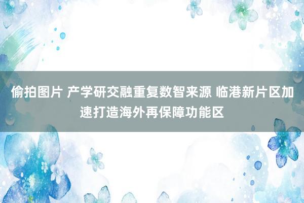 偷拍图片 产学研交融重复数智来源 临港新片区加速打造海外再保障功能区