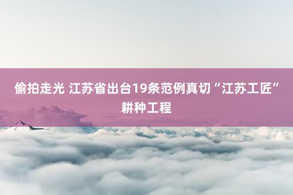 偷拍走光 江苏省出台19条范例真切“江苏工匠”耕种工程