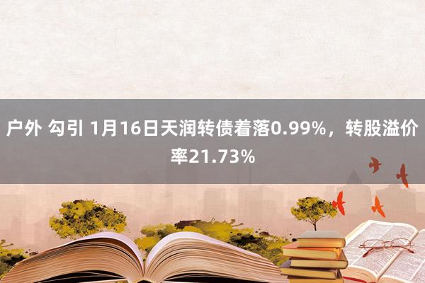 户外 勾引 1月16日天润转债着落0.99%，转股溢价率21.73%